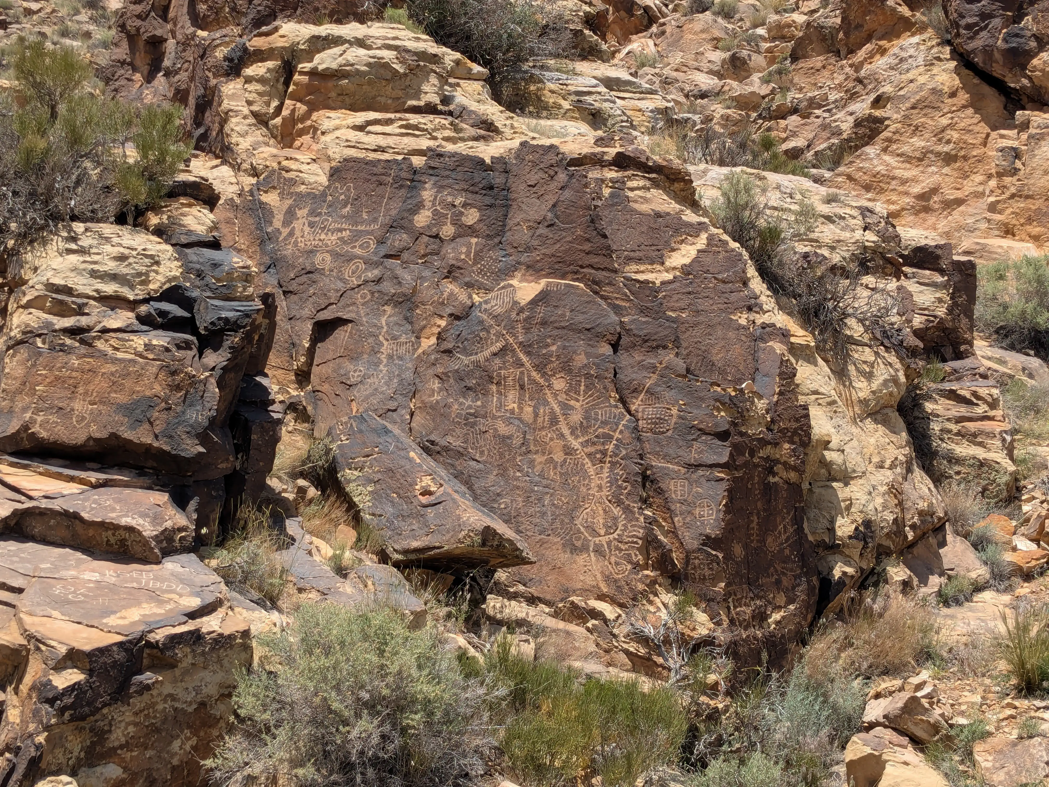 Petroglyphs possibly showing the origin story of its creators.